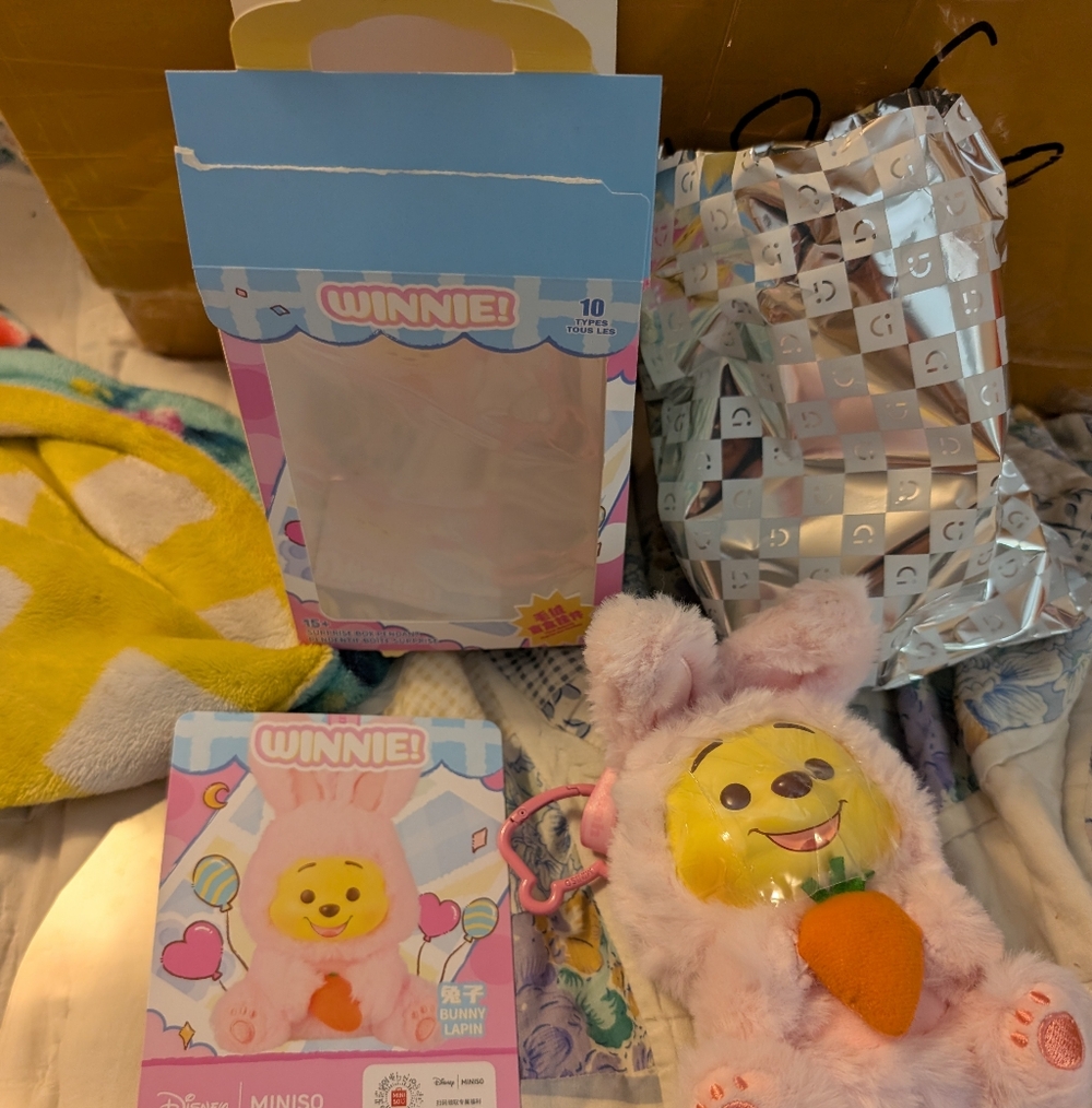 Bunny - Winnie the Pooh - Authentic Miniso Blind Box